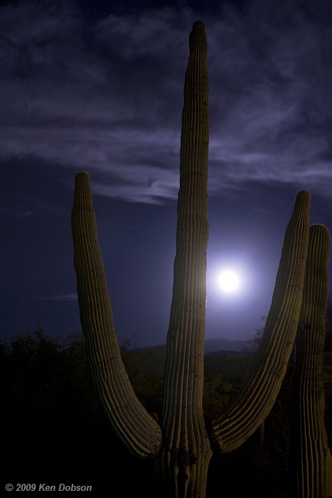 Hunter's Moon and Sentinel